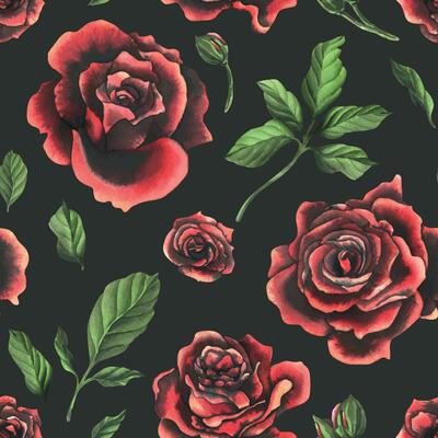 Redblack rose flowers with green leaves and buds, chic, bright, beautiful. Hand drawn watercolor illustration. Seamless pattern on a dark background, for decoration and design