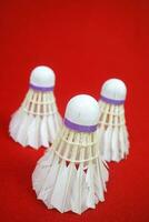 some used shuttlecocks, made of goose feathers, with purple ribbons on red background photo