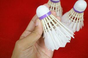 A hand holding some used shuttlecocks, made of goose feathers, with purple ribbons on red background photo