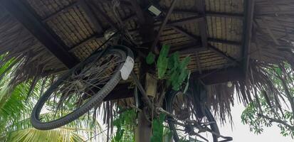 A bicycle object in the ceiling, an old bike, a green garden, an old roof photo