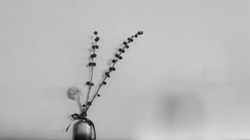 Minimalism of flower in a bottle in black and white color photo
