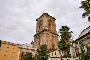 a tall tower with palm trees in front of it photo