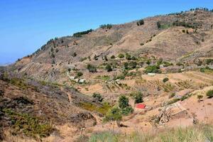 el montañas son cubierto en seco césped y arboles foto