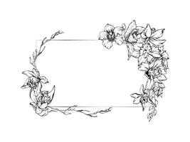 mano dibujado vector tinta orquídea flores y sucursales, monocromo, detallado describir. horizontal marco composición. aislado en blanco antecedentes. diseño para pared arte, boda, imprimir, tatuaje, cubrir, tarjeta.