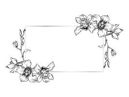 Hand drawn vector ink orchid flowers and branches, monochrome, detailed outline. Horizontal frame composition. Isolated on white background. Design for wall art, wedding, print, tattoo, cover, card.