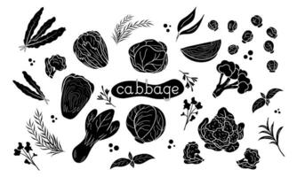 silhouette different Cabbage vector illustration. Design for kale day, healthy food, day, recipes. Colorful cartoon assorted cabbage for cover, print, book decoration, postcard, stickers, web element