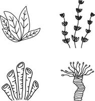 Hand Drawn Seaweed With Flat Design. Abstract Decoration. Isolated Vector. vector