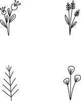 Hand Drawn Leaves With Doodle Design. Isolated On White Background. Vector Illustration.