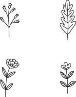 Hand Drawn Leaves With Doodle Design. Isolated On White Background. Vector Illustration.