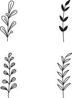 Hand Drawn Leaves With Doodle Design. Isolated On White Background. Vector Illustration.