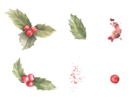 Watercolor painted set of holly leaves and red berries with aquarelle splashes Illustration. Christmas, New Year plant for your card, winter holiday celebrate decor, print png