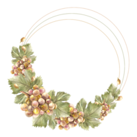 Watercolor wreath, round frame Bunch of green grapes, leaves and grape berry Grapevine, food or drink label Hand painted illustration Design of card, wine list, invitation png