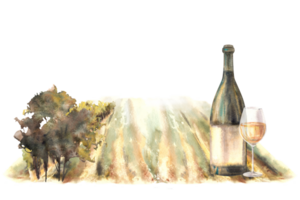 Aquarell Wein Etikette mit ein Flasche und Glas von Wein im Vorderseite von Weinberge ländlich Landschaft mit Traube Felder, Bäume, Gebüsch Wein Fabrik Wein machen Hand zeichnen Illustration png