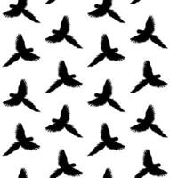 Vector seamless pattern of hand drawn macaw parrot