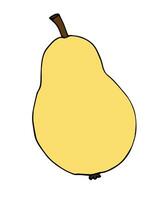 Vector hand drawn sketch doodle outline pear