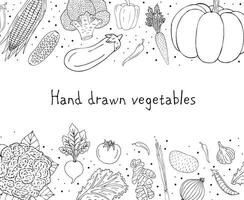 Vector hand drawn sketch frame with vegetable