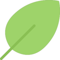 conception d'illustration de feuille png