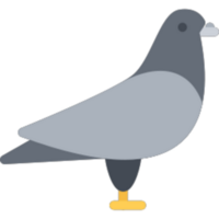 dove illustration design png