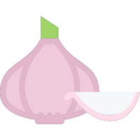 Garlic illustration design png