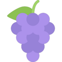 Grapes illustration design png