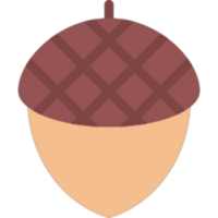 Acorn illustration design png