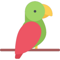 Parrot illustration design png