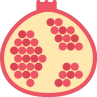 Pomegranate illustration design png