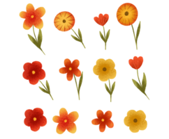 Flower set. Hand painted red and yellow flowers png