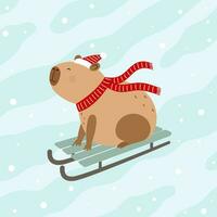 Funny capybara rides sledge. Winter funny card vector