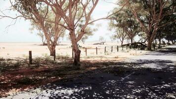 A wavy asphalt road in a hilly landscape video