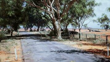 das öffnen Straße im Kimberly von Western Australien video