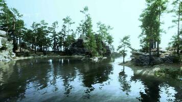 pintoresco alpino oasis, con un claro como el cristal lago y verde bosques video