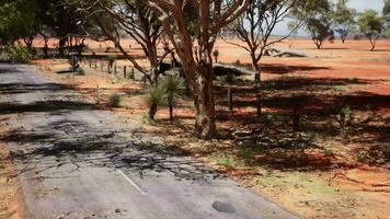 das öffnen Straße im Kimberly von Western Australien video