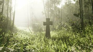 rugged grave marker in the tropical woods video