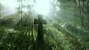 timeworn memorial marking a final resting place in the tropics video