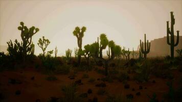 Sand dunes against sky before sunrise video