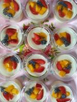 Milk pudding with fruit topping photo