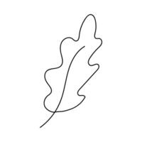 Doodle style plant. Hand drawn. Isolated on a white background. vector