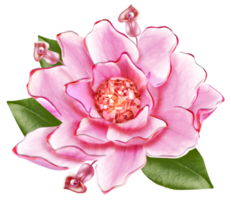 3D REPRESENTATION OF ARTIFICIAL FLOWER IN 3D, VERY VIVID AND COLORFUL PINK COLORS png