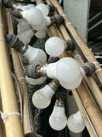 close - up view of a bamboo pole and light bulb photo