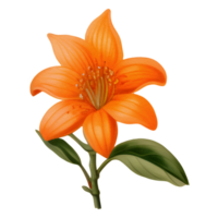 ai gegenereerd oranje bloem transparant achtergrond. png