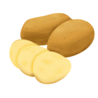aardappelen hand getekend illustratie png