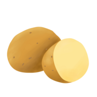 aardappelen hand getekend illustratie png