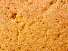 close up view on sponge cake texture photo