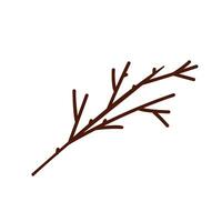 Doodle single twig branch element. Dry shrub, bush twig. Vector illustration. Outline hand drawn sketch on white background. Design element for natural and organic designs.