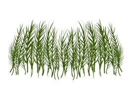 Green grass vector isolated illustration. Bushes of green grass, garden plants. Flat cartoon element for design natural and organic.