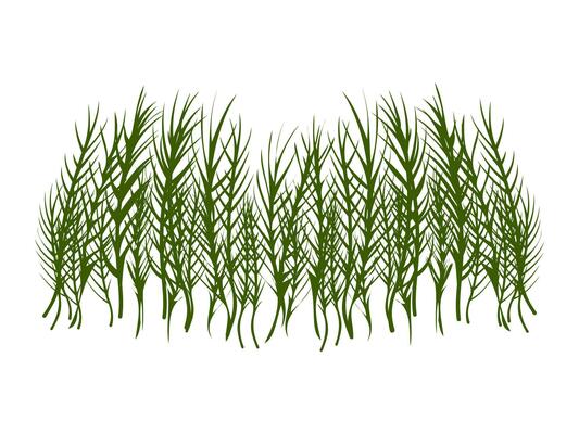 Green grass vector isolated illustration. Bushes of green grass, garden plants. Flat cartoon element for design natural and organic.