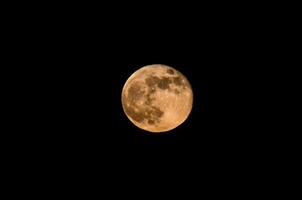 el lleno Luna es visto en el oscuro cielo foto