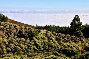 a view of the clouds from above the trees photo