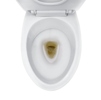 bathroom toilet with dark colored urine. transparent background png